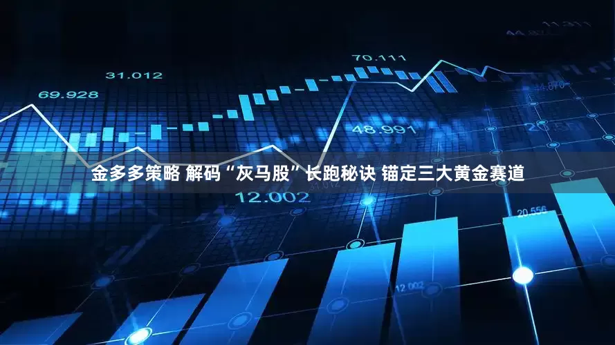 金多多策略 解码“灰马股”长跑秘诀 锚定三大黄金赛道
