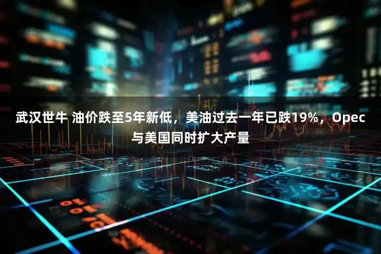 武汉世牛 油价跌至5年新低，美油过去一年已跌19%，Opec与美国同时扩大产量