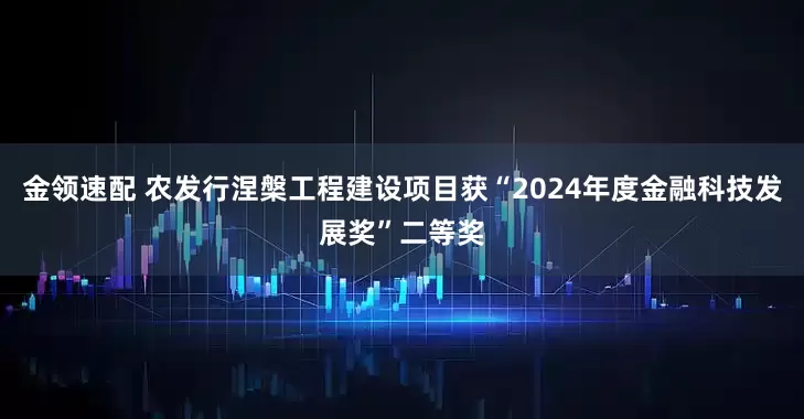 金领速配 农发行涅槃工程建设项目获“2024年度金融科技发展奖”二等奖